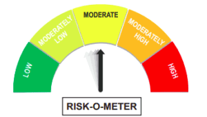 risk o meter